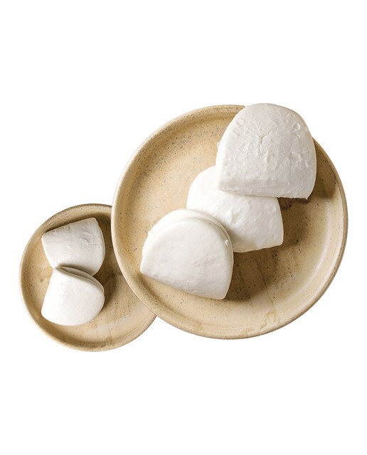 Pan bao Shikou 2