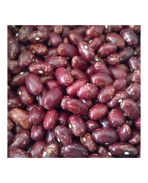 Alubia roja de Gernika Nanike 2