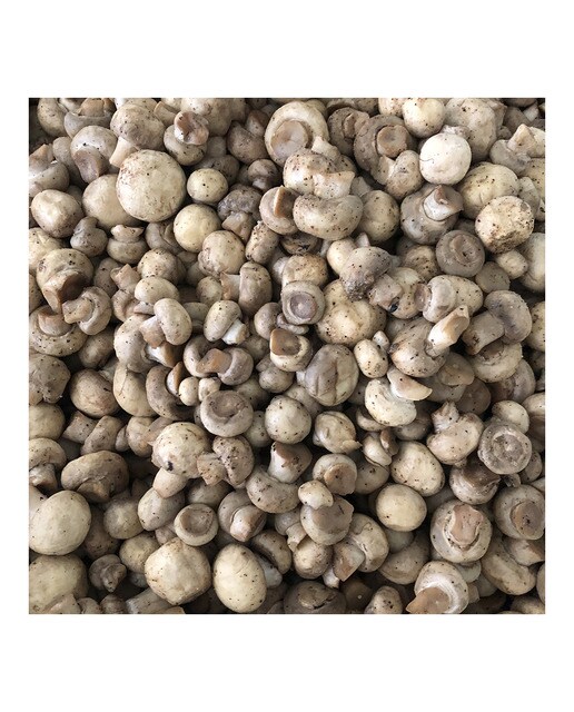 Champiñón baby picante con especias y aceite oliva virgen extra Mar-Tret 3