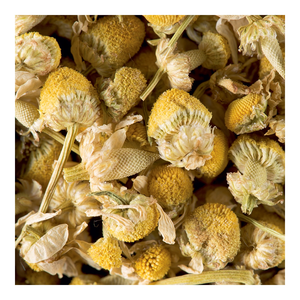 Infusión Cristal Camomille Dammann 25 bolsitas Dammann 2