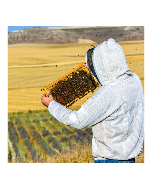 Imagen 5 de Miel de lavanda Setentaynueve