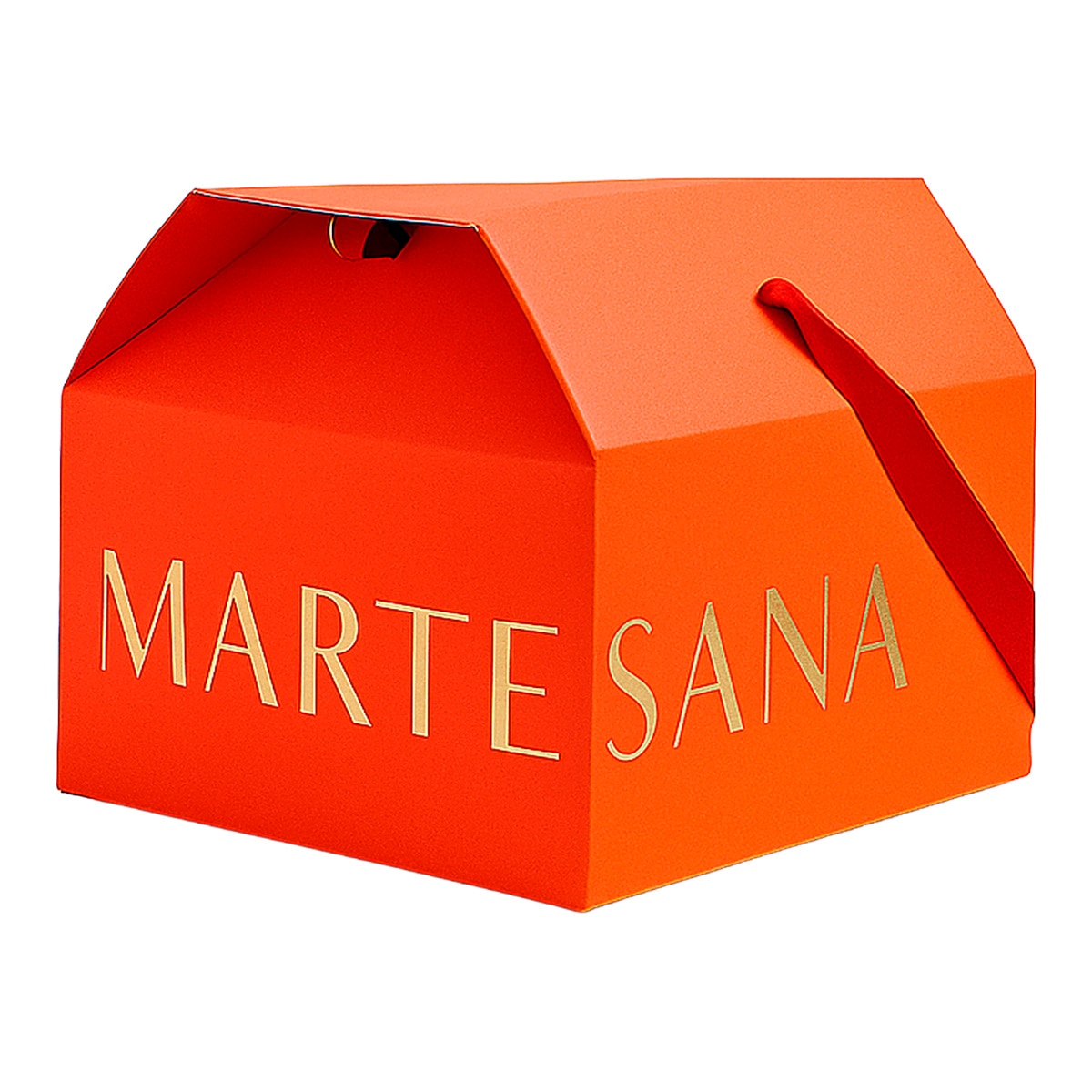 Panettone Tradicional Milanés Martesana Milano 1