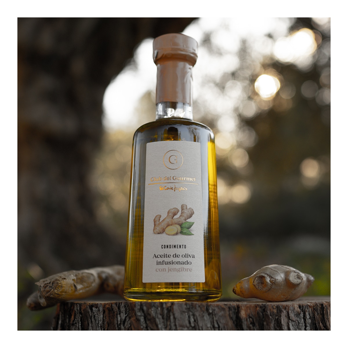 Condimento de aceite de oliva infusionado con jengibre Club del Gourmet 3