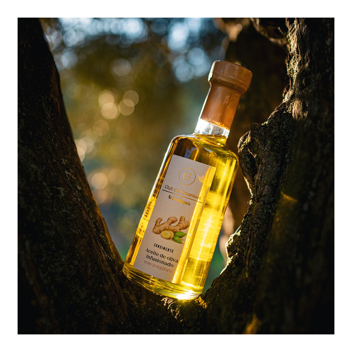 Condimento de aceite de oliva infusionado con jengibre Club del Gourmet 4