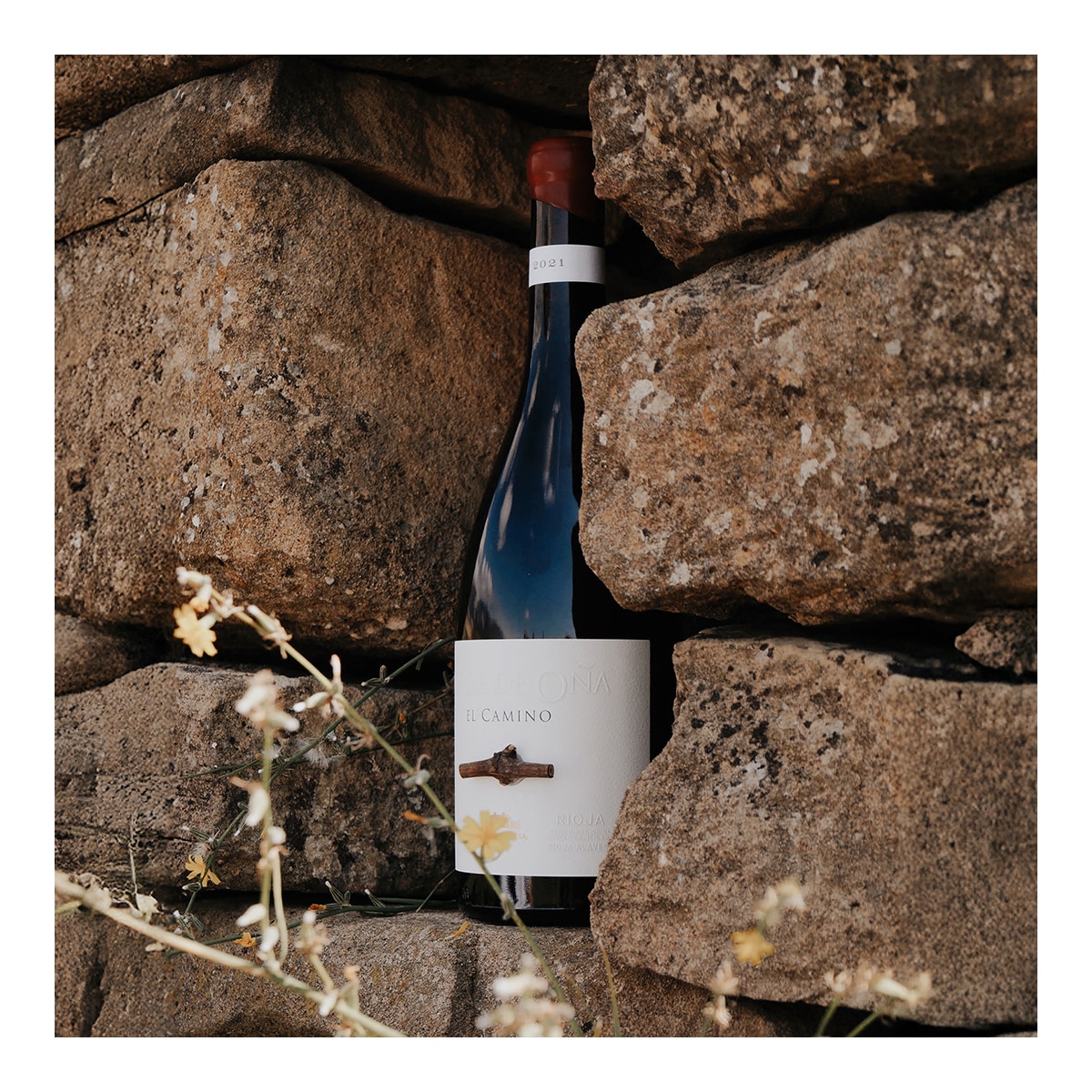Vino tinto Torre de Oña 2021 El Camino Rioja 4