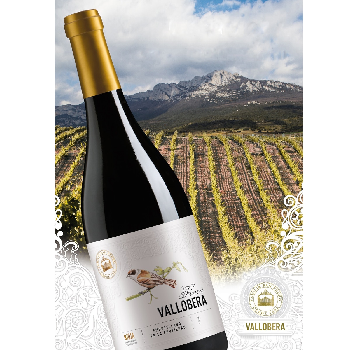 Vino tinto Finca Vallobera tempranillo 2020 Rioja 2
