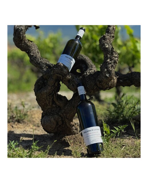 Vino tinto Familia Valdelana Finca Senda de la Traición Viñedo Singular 2021 Rioja 2