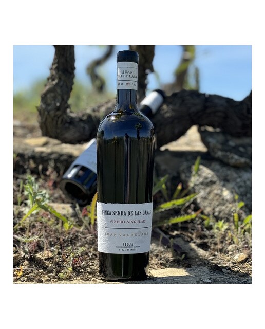 Vino tinto Familia Valdelana Finca Senda de la Traición Viñedo Singular 2021 Rioja 3