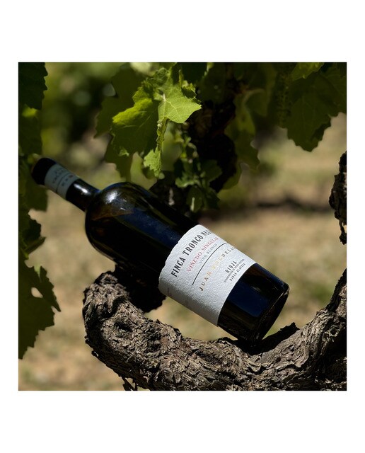 Vino blanco Familia Valdelana Finca Tronco Negro Viñedo Singular 2021 Rioja 2