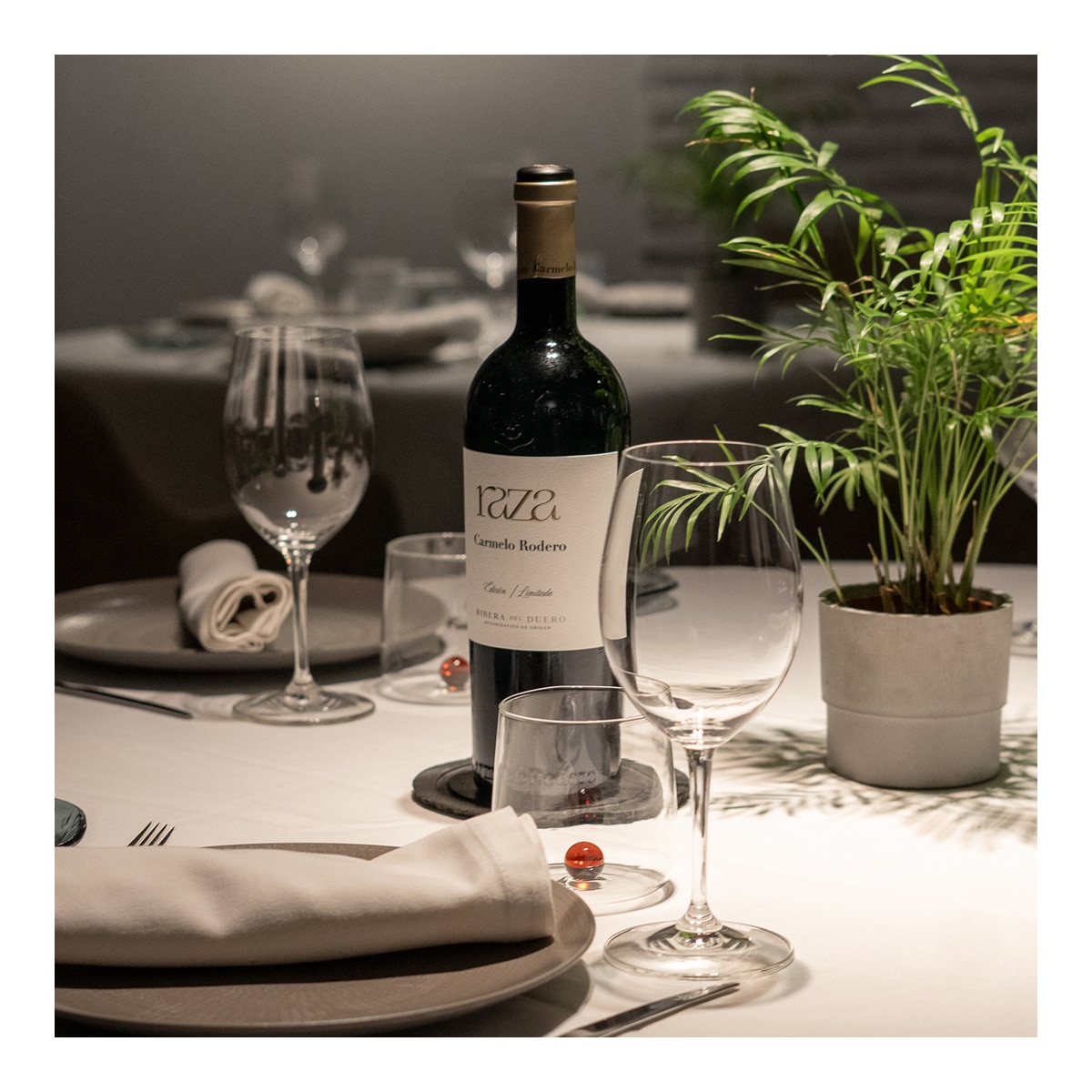 Vino tinto Carmelo Rodero Raza 2022 Ribera del Duero 2
