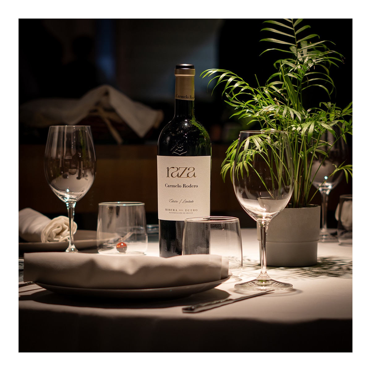 Vino tinto Carmelo Rodero Raza 2022 Ribera del Duero 3