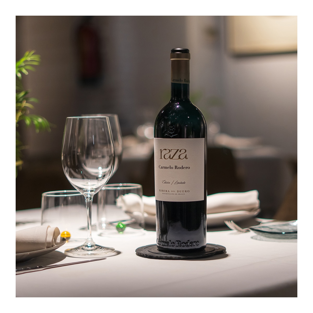 Vino tinto Carmelo Rodero Raza 2022 Ribera del Duero 4