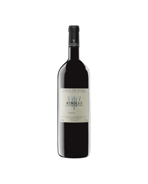 Imagen 0 de Vino tinto Tomás Postigo Rebollo 2019 Ribera del Duero Mágnum