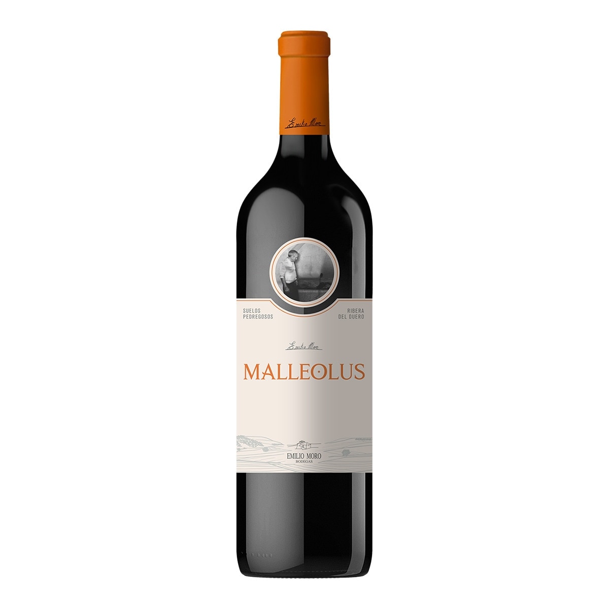 Imagen 0 de Vino tinto Malleolus tempranillo 2023 Ribera del Duero