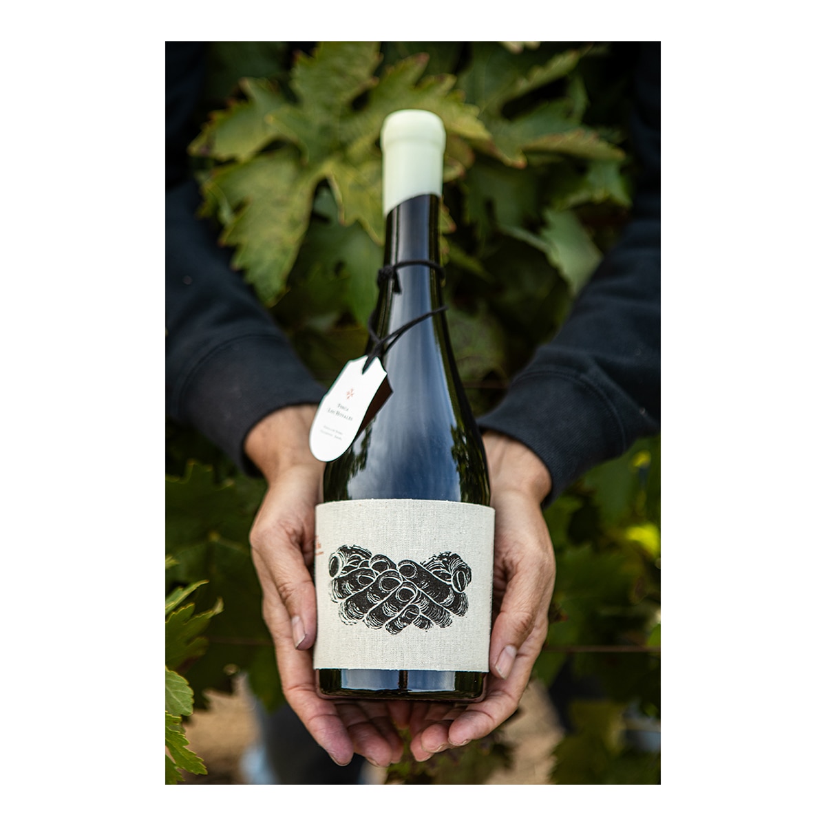 Estuche vino tinto Finca Los Hoyales Cruz de Alba tempranillo 2018 Ribera del Duero 2