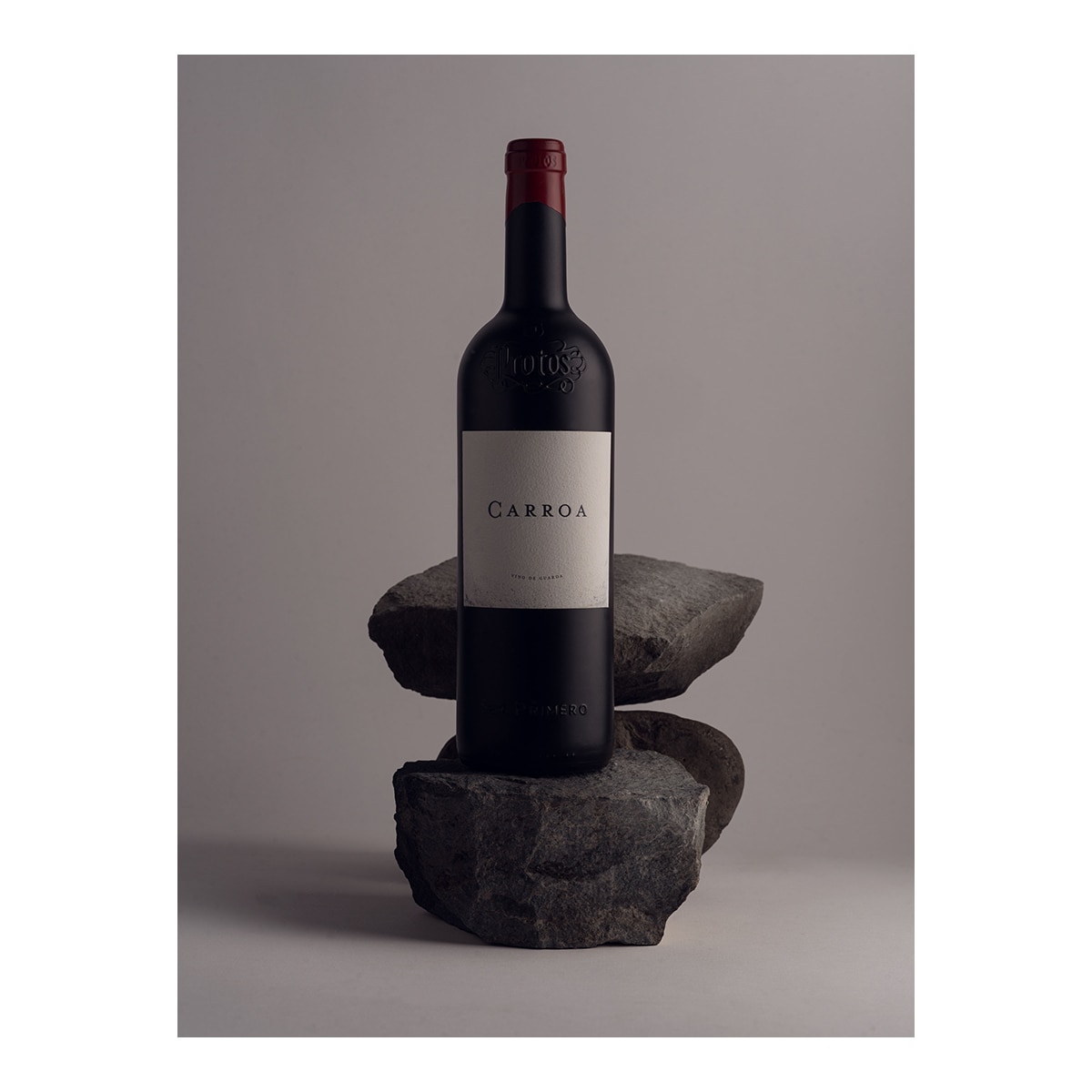 Imagen 4 de Vino tinto Carroa Tinta Fina 2021 Protos Ribera del Duero