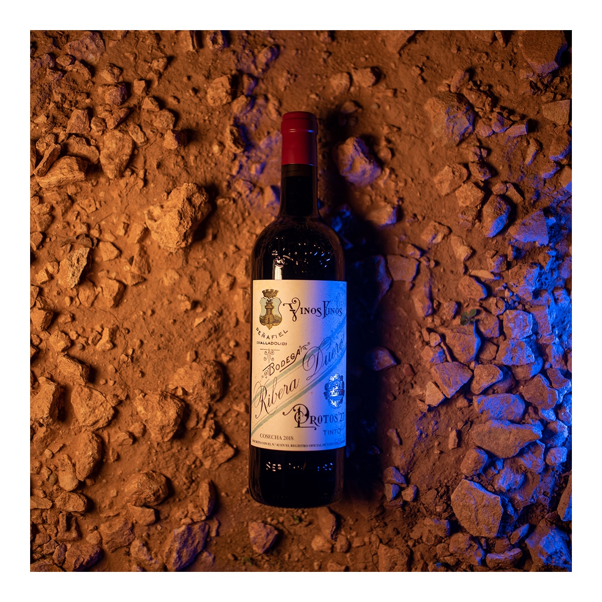 Vino tinto Protos 27 tempranillo 2022 Ribera del Duero 5
