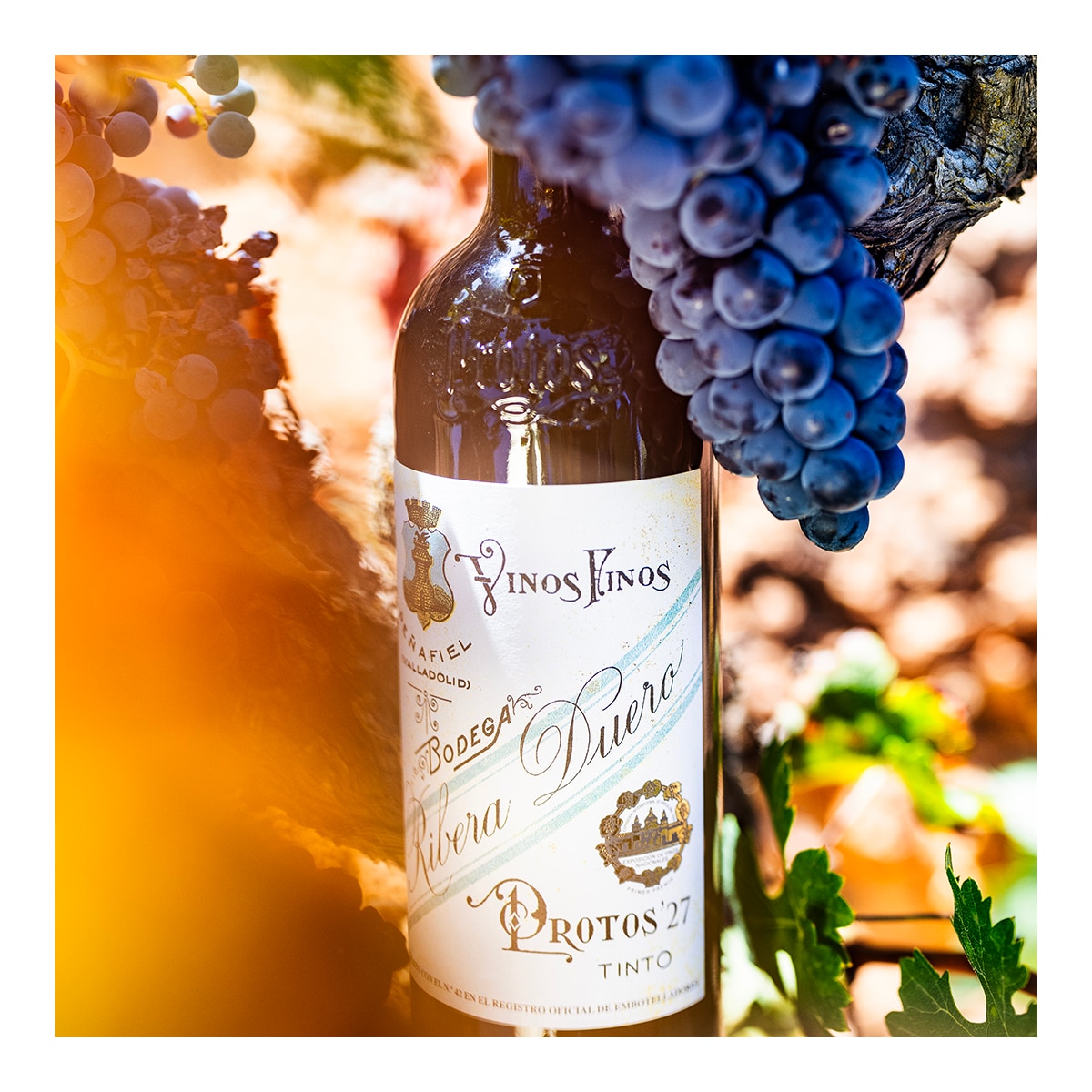 Estuche vino tinto Protos 27 tempranillo 2022 Ribera del Duero Mágnum 2