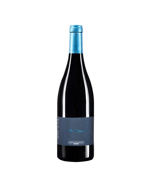 Vino tinto El Músico 2014 León 1
