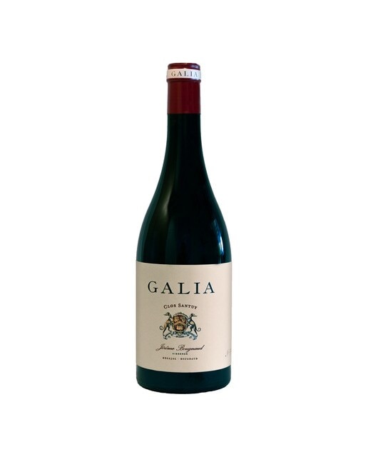 Vino tinto Galia Clos Santuy 2017 Castilla y León 1