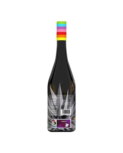 Vino tinto Kolor Okuda San Miguel & Raúl Pérez mencía 2020 Bierzo 2