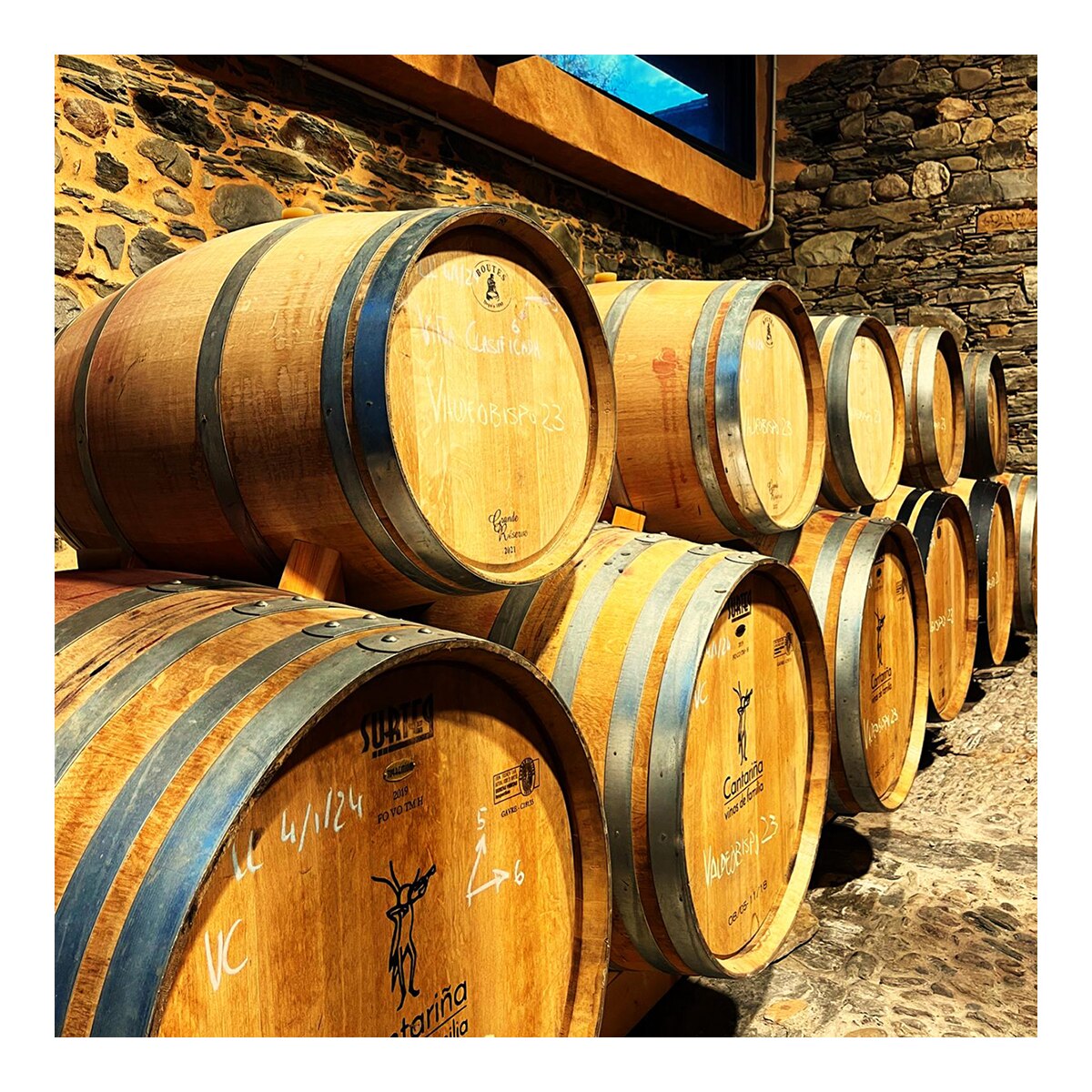Vino tinto Cantariña 5 Valdeobispo mencía 2021 Bierzo 4