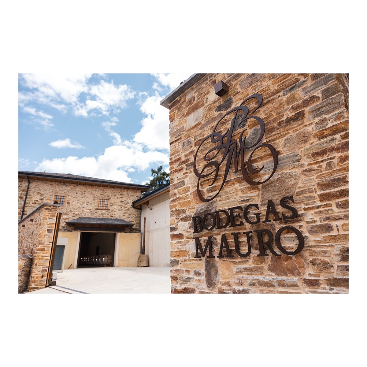 Vino tinto Valeyo Crianza 2022 Bierzo 4