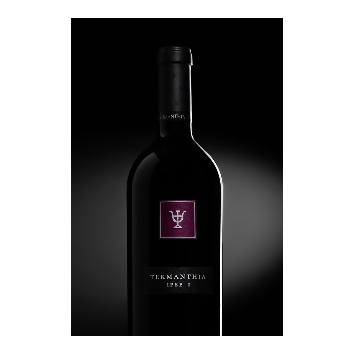 Estuche vino tinto Termanthia IPSE I Tempranillo 2014, 2015 y 2016 Toro 4