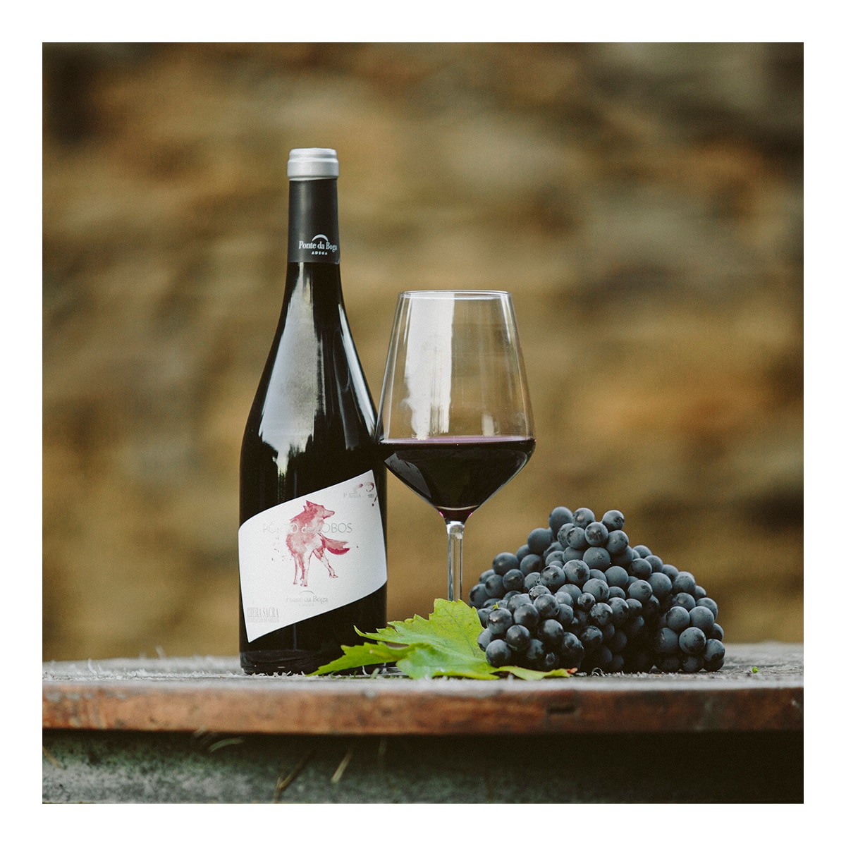 Vino tinto Porto de Lobos 2016 Ribeira Sacra 2