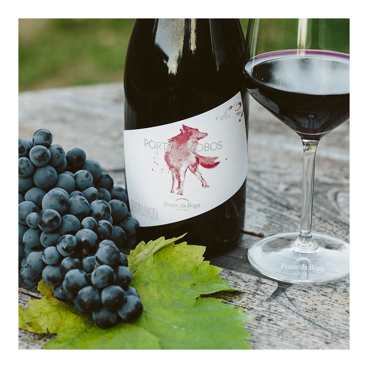 Vino tinto Porto de Lobos 2016 Ribeira Sacra 3