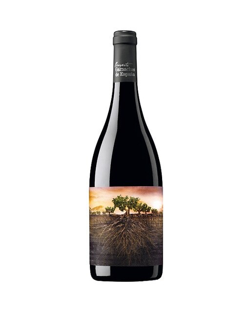 Imagen 0 de Vino tinto La Garnacha Olvidada de Aragón 2022 Calatayud