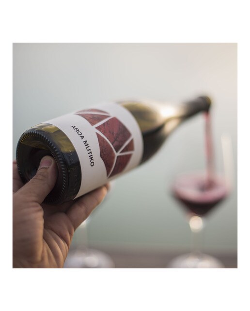 Vino tinto Aroa Mutiko garnacha 2023 Navarra 2