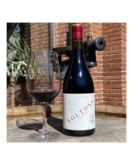 Vino tinto Voltons 2019 Priorato 2