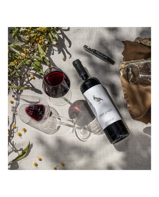 Vino tinto Dehesa de Luna Orígenes ecológico 2022 Castilla La Mancha 3