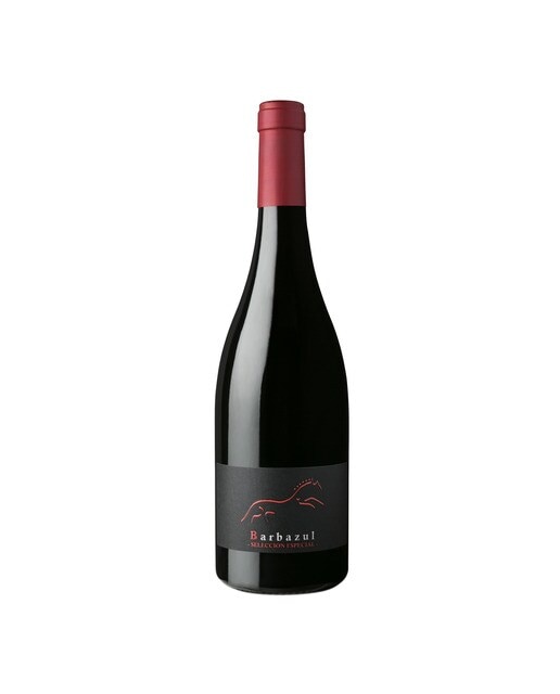 Imagen 0 de Vino tinto Barbazúl Selección Especial 2020 Vino de la Tierra de Cádiz