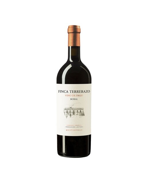 Imagen 0 de Vino tinto de Pago Finca Terrerazo bobal 2023 Valencia