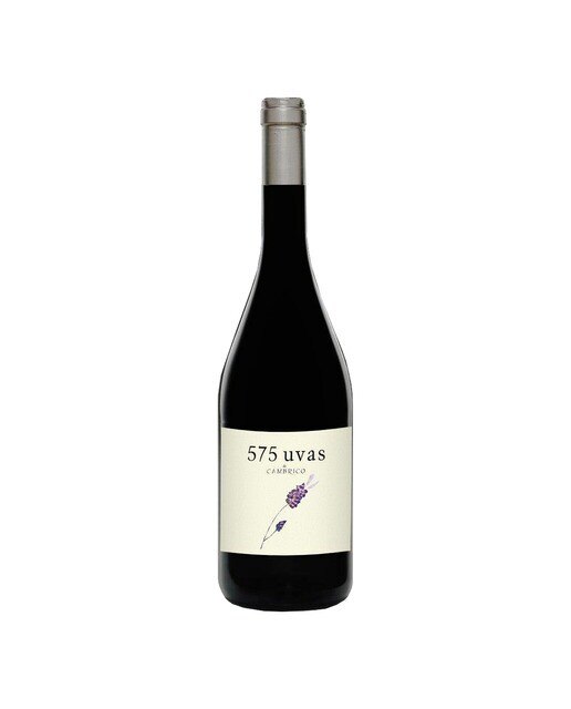 Imagen 0 de Vino tinto 575 Uvas de Cámbrico 2017 Sierra de Salamanca