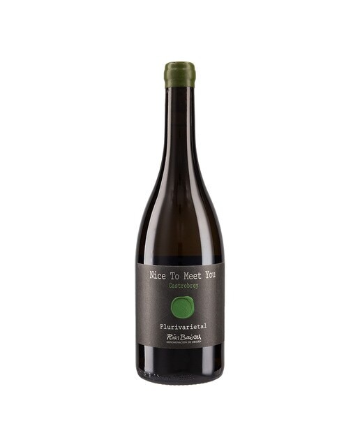 Vino blanco Nice To Meet You Castrobrey 2023 Albariño 1