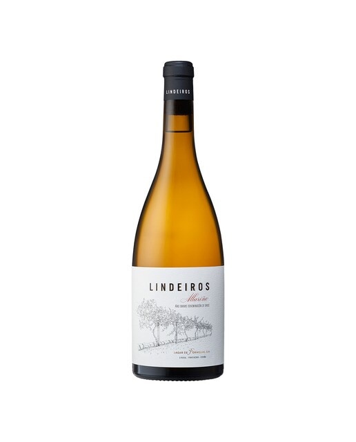 Imagen 0 de Vino blanco Lindeiros Albariño 2022 Rías Baixas