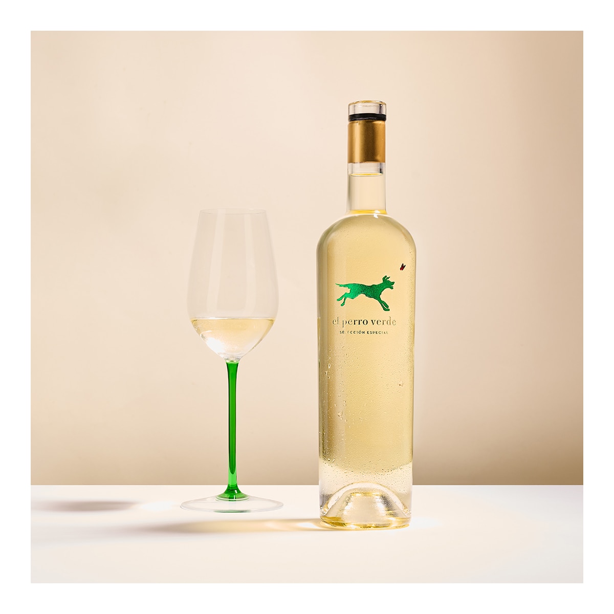 Imagen 2 de Vino blanco El perro verde Selección Especial Verdejo 2024 Rueda