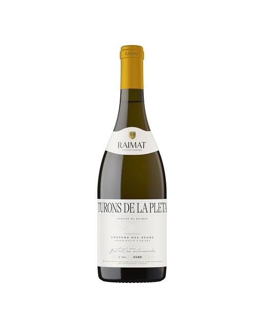 Vino blanco Raimat Turons de la Pleta 2019 Costers del Segre 1