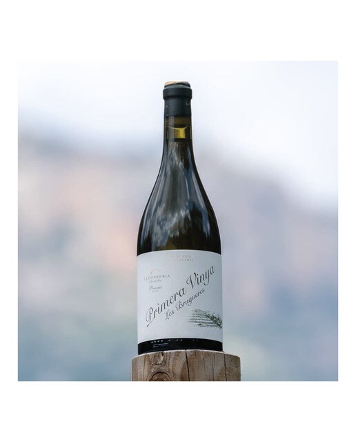 Vino blanco Primera Vinya Garnacha Blanca 2021 Priorato 2