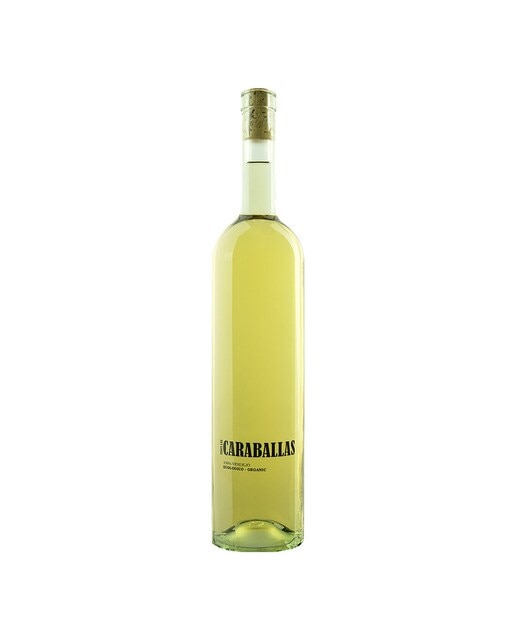 Imagen 0 de Vino blanco Finca las Caraballas Verdejo ecológico 2023 Castilla y León Mágnum