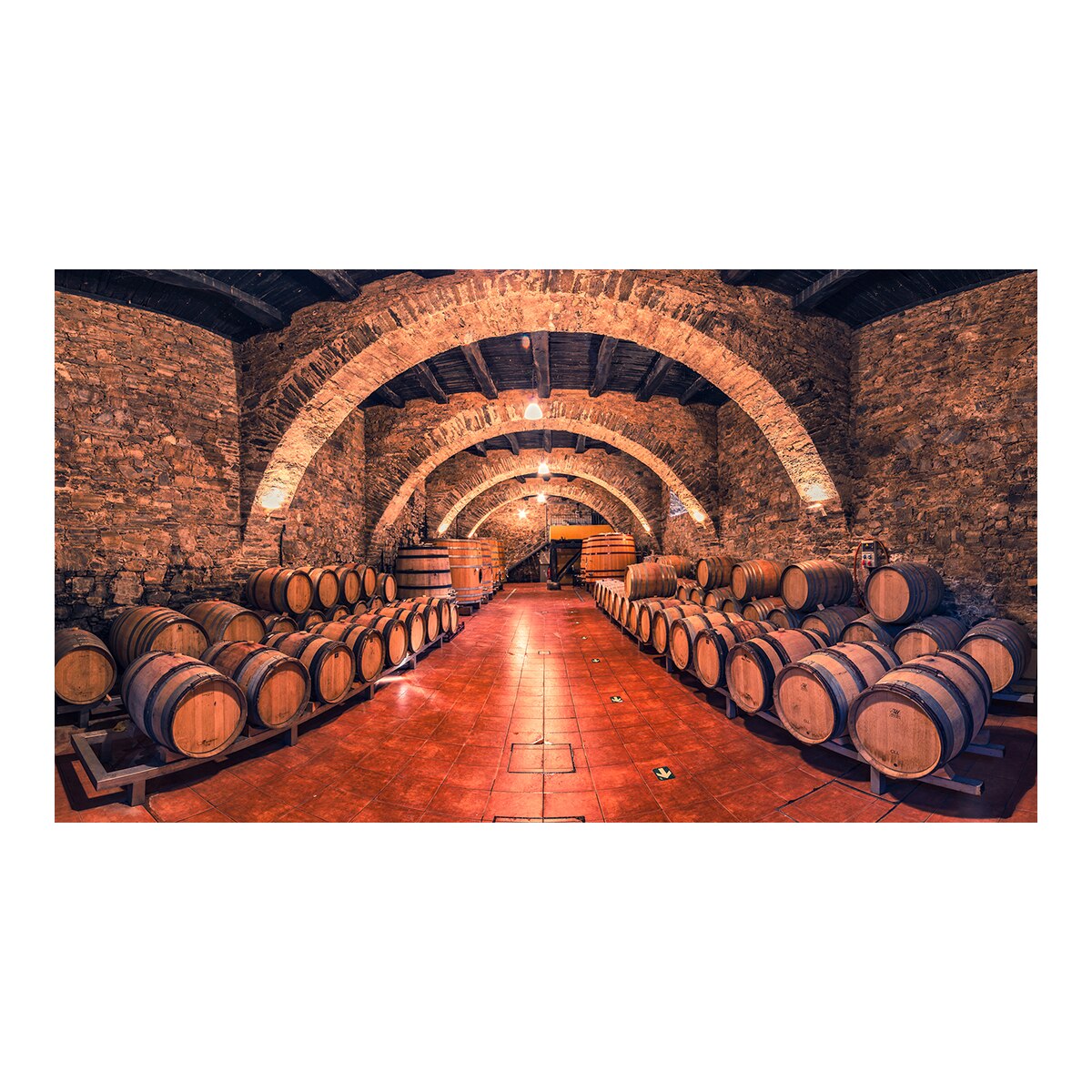 Imagen 3 de Vino blanco Crianza Ultreia Godello 2024 Raúl Pérez Bierzo Mágnum