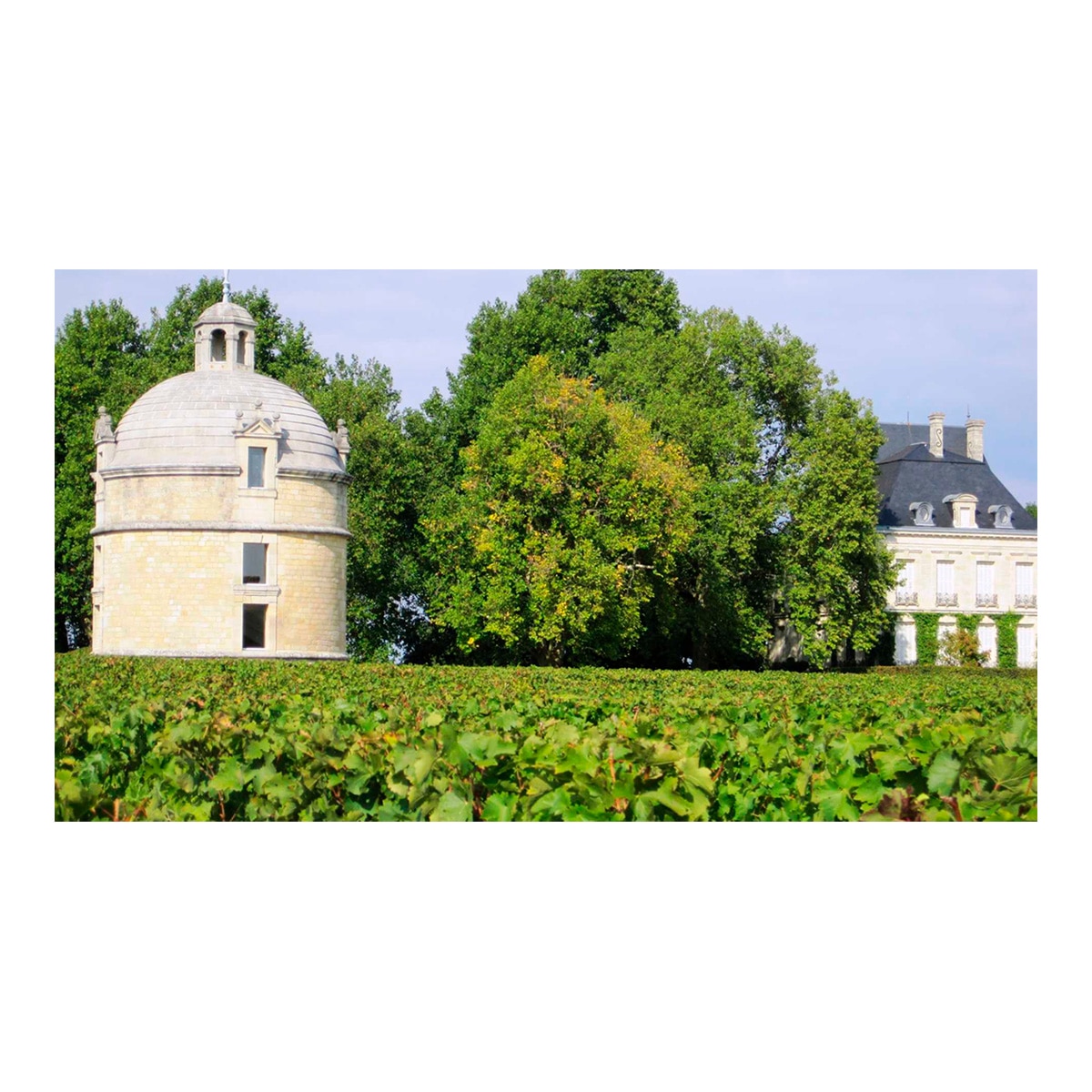 Vino Tinto Pauillac de Latour 2020 Burdeos 2