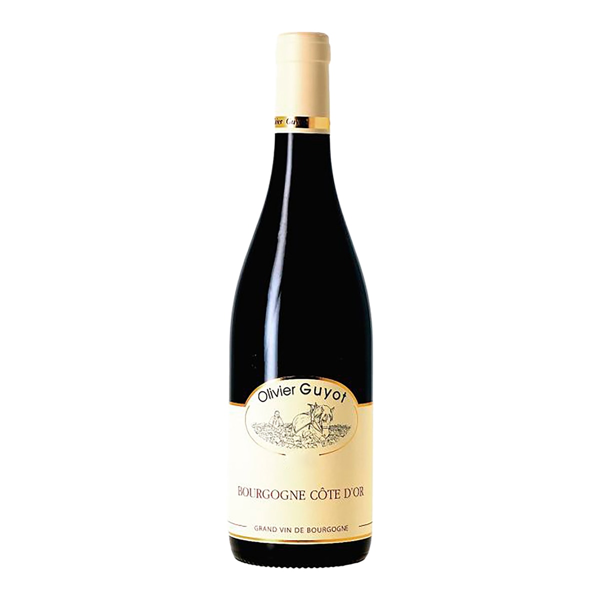 Imagen 1 de Vino tinto Olivier Guyot Côte d'Or pinot noir 2022 Borgoña