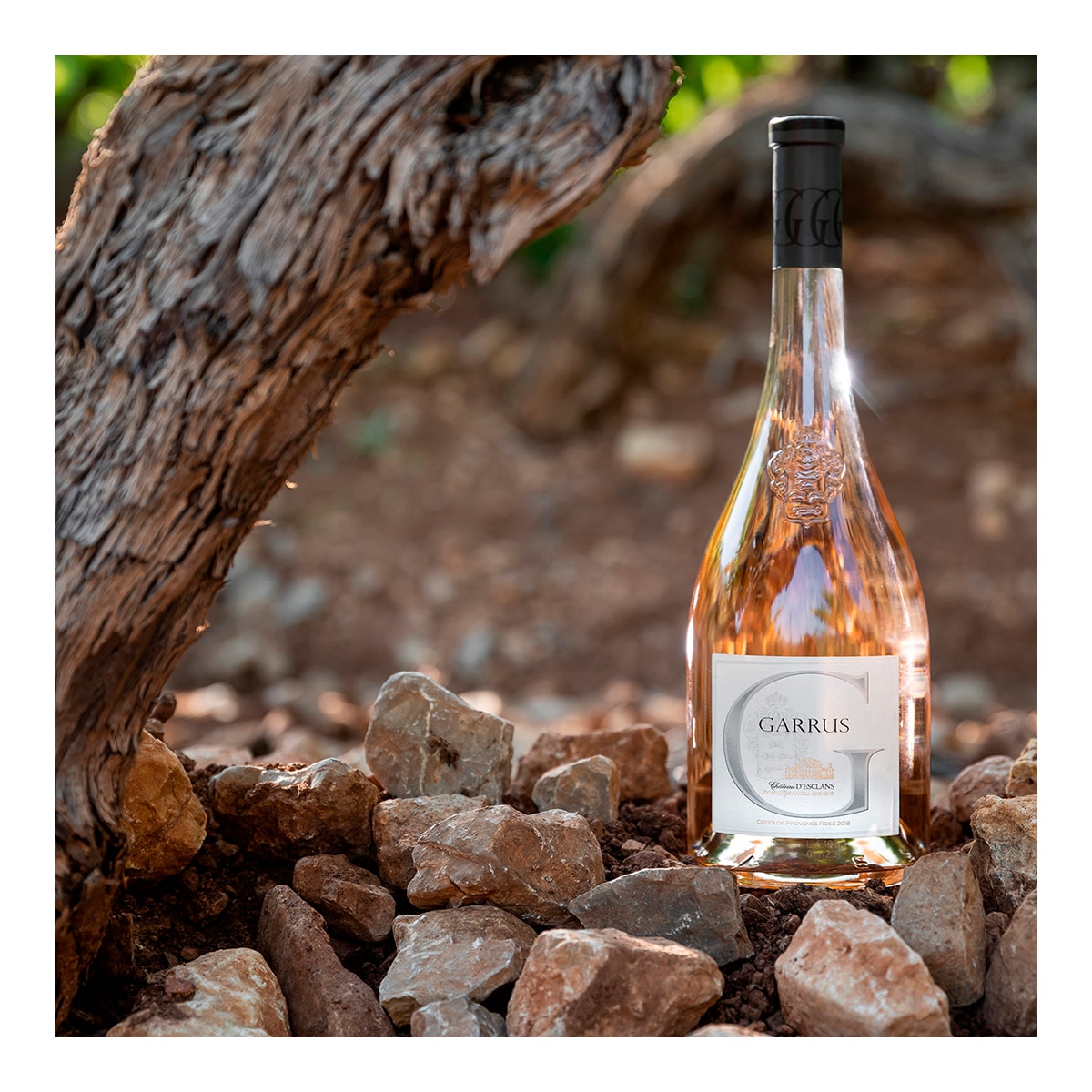 Vino rosado Château d'Esclans Garrus 2019 Côtes de Provence 2
