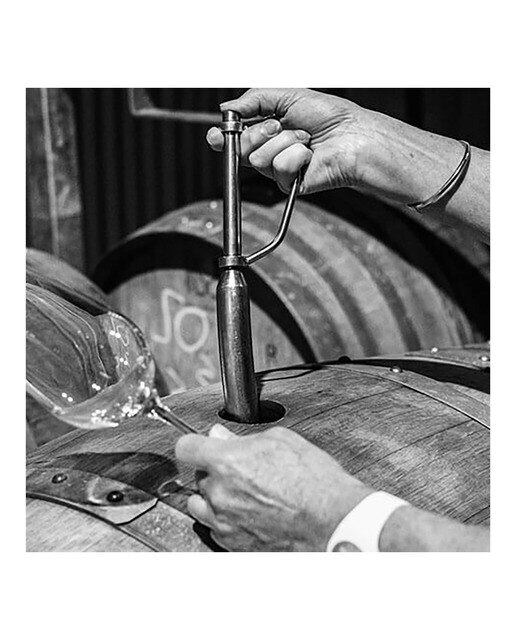 Vino blanco Little Beauty Sauvignon Blanc 2023 Nueva Zelanda 3