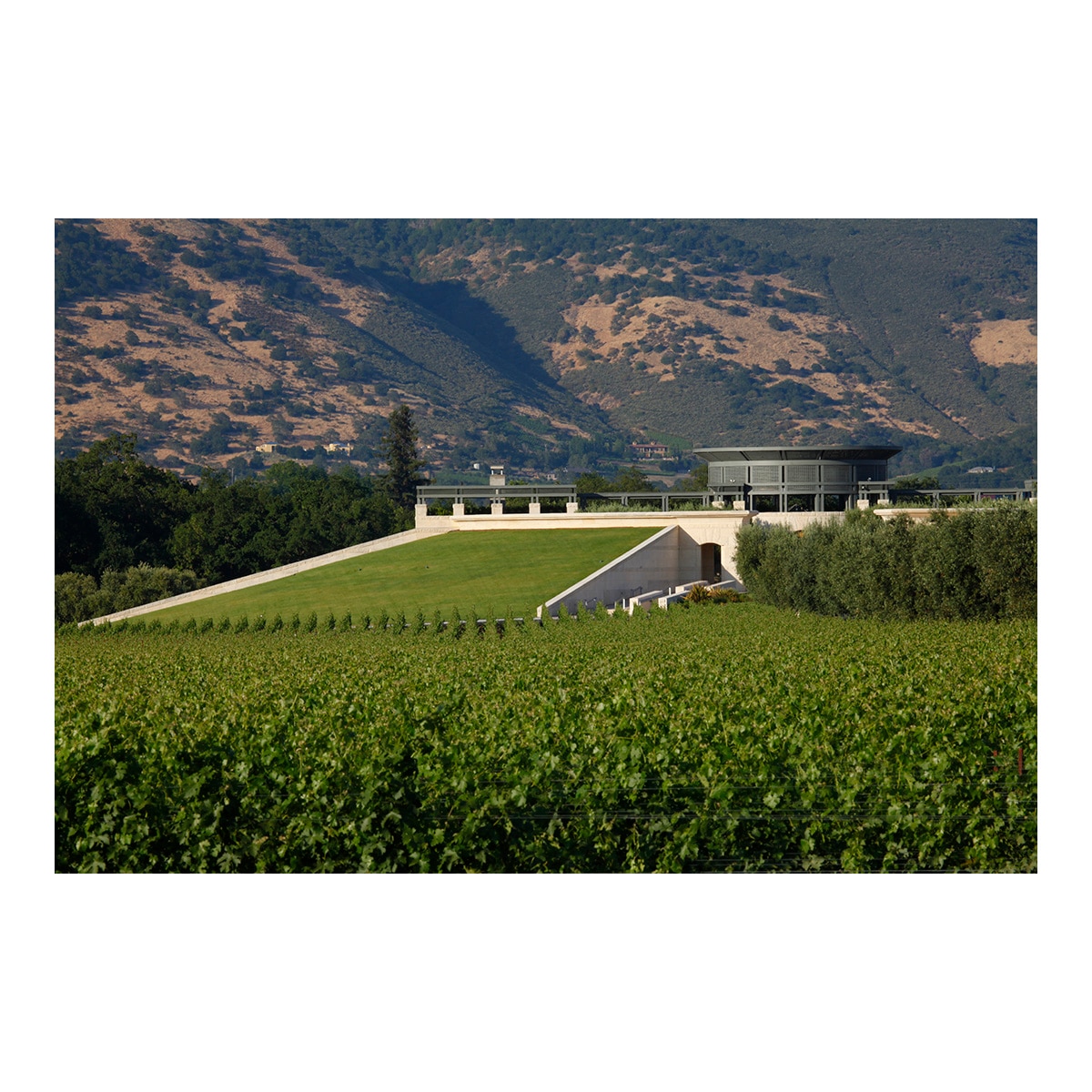 Vino tinto Opus One 2022 de Valle de Napa USA 2