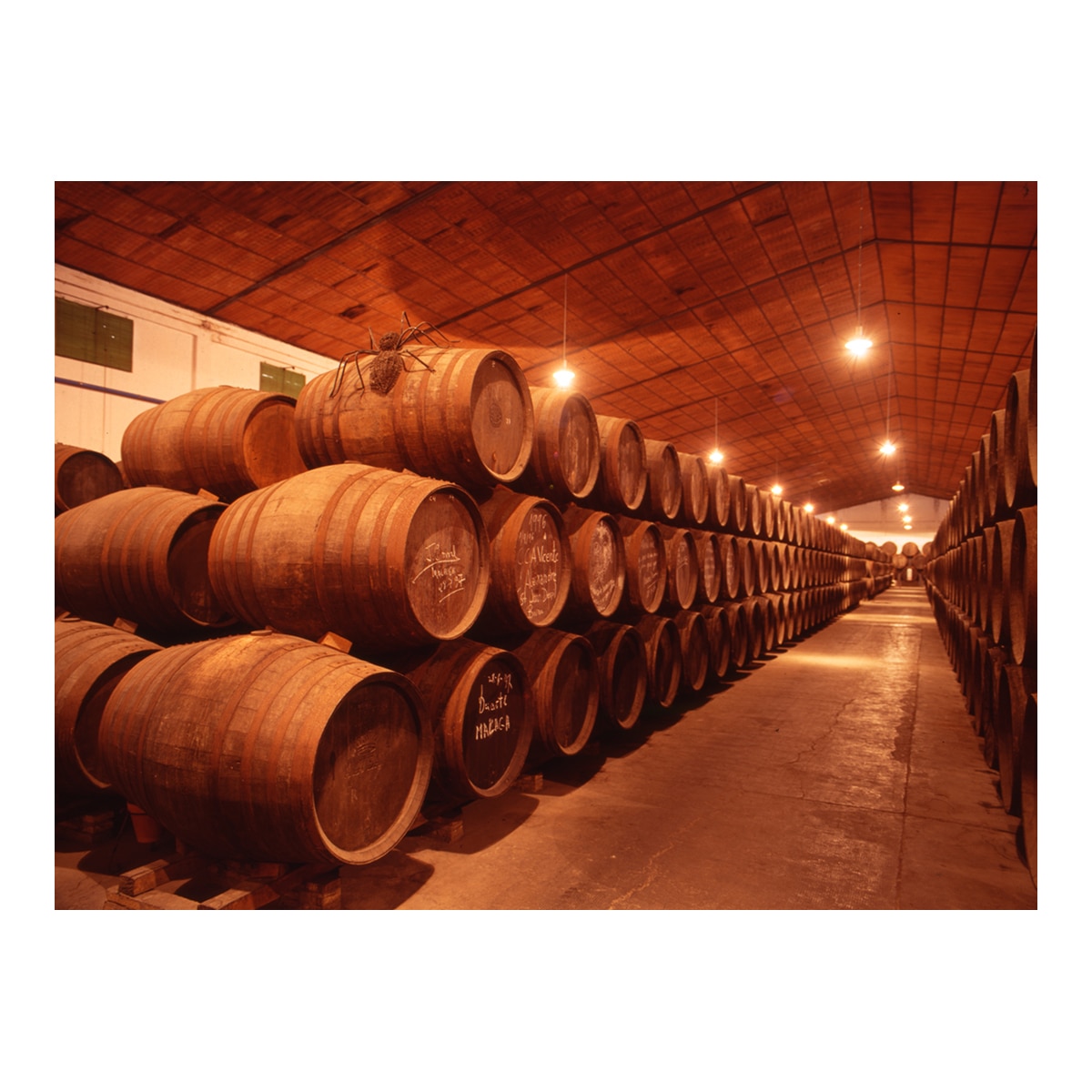 Vino generoso DO Montilla-Moriles Pedro Ximénez Solera Fina 8 años María del Valle 3